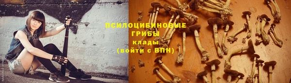 Альфа ПВП Остров