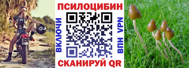 Псилоцибиновые грибы Cubensis  Сухой Лог 