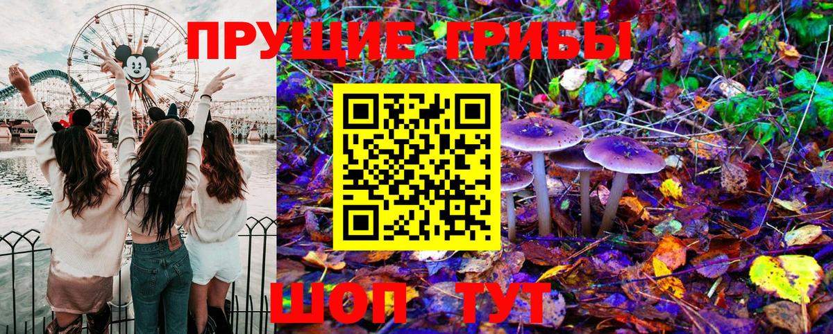 Галлюциногенные грибы Psilocybe  Вход с VPN  Сухой Лог 