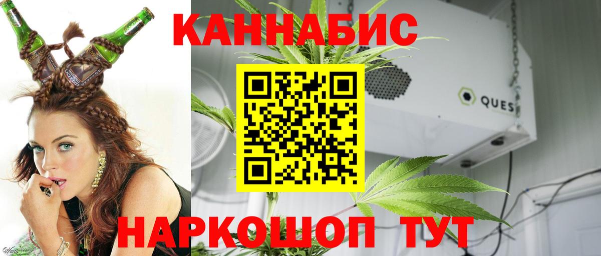 Каннабис OG Kush Сухой Лог